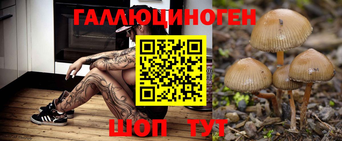 Богородск  Псилоцибиновые грибы GOLDEN TEACHER  Вход с VPN 